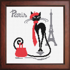 Parisian cat