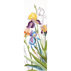 Watercolor irises. 34x11 cm