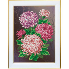 Chrysanthemum, 31x43 cm