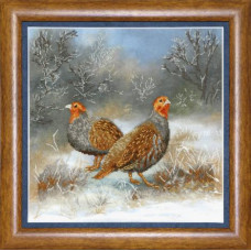 Partridges in a winter meadow