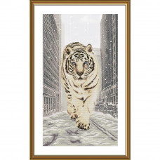 Snow tiger. 28x50 cm