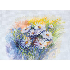 Watercolor daisies. 24x18 cm
