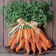 Carrot bouquet