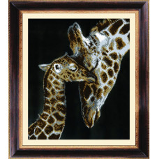 Maternal tenderness. Giraffes