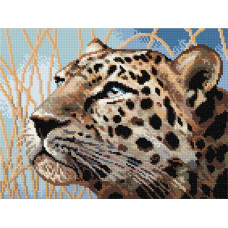 Leopard, 20x26 cm