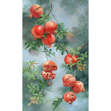 Pomegranate season