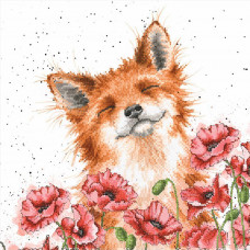 Fox in poppies