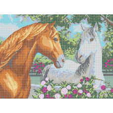 Graceful couple (Horses)