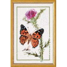 Butterflies. Painted lady