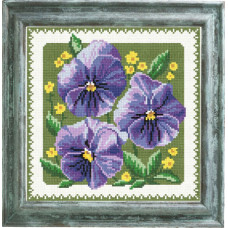 Great violets