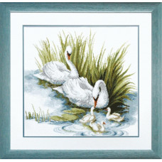 Swans. 41. 5x40 cm
