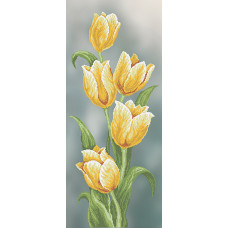 Zhovti tulips