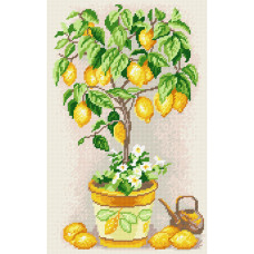 Lemon tree, 36x57 cm