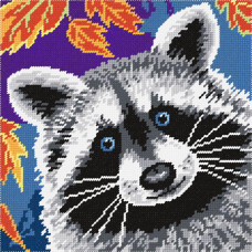 Raccoon, 25x25 cm