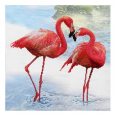 RozhevÑ flamingo
