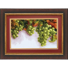 A crown of grapes. 29x18 cm