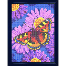 Canvas with a picture. Butterfly on a flower.