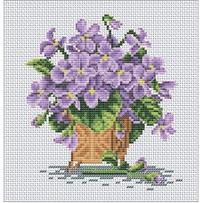 Violets in a cat