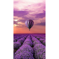 Flying over lavender