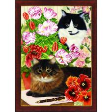 Flower cats