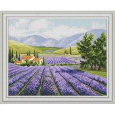 Lavender fields. 35x44 cm