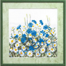 Daisies in the field. 28x28 cm
