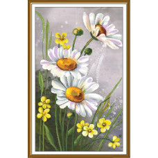 Polish daisies, 28 x 47 cm