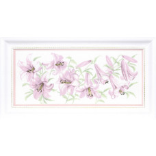 Lilac lilies