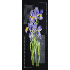 Japanese irises. 16x43 cm