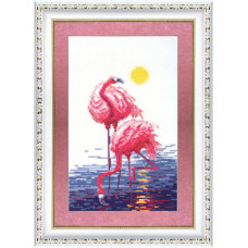 rozhevy flamingo