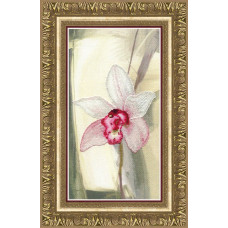 Rozhev's orchid. 14.5x27 cm