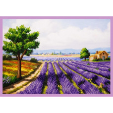 Lavender Provence