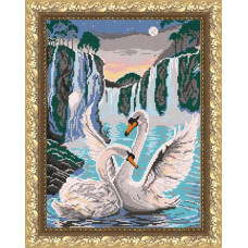 Swans by the waterfall