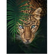 Jaguar in the jungle