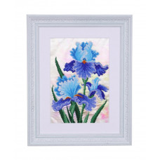 Irises are blue
