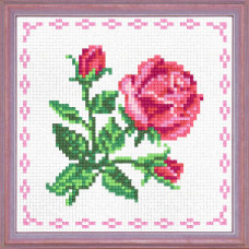 Red rose with border