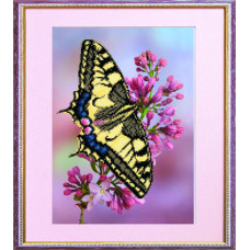Swallowtail on lilac