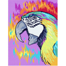 Parrot, 20x26 cm