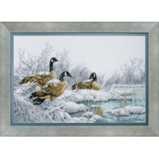 Geese in winter