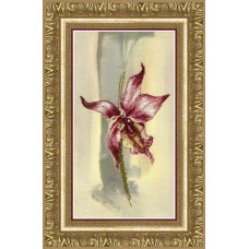 Lilac orchid. 14.5x27 cm