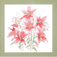 Lilies. 43x43 cm