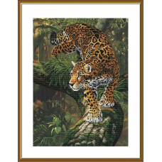 Amazonian jaguar