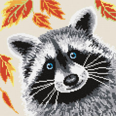 Raccoon. 22x22 cm