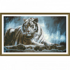 Amur tiger. 48x28 cm
