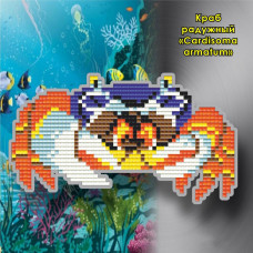 Rainbow crab (Cardisoma armatum). Magnet