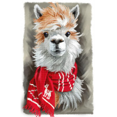 Llama in a scarf