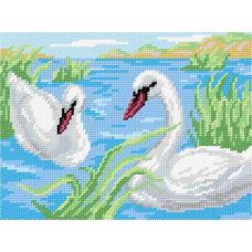 Swans at the floodplains