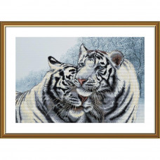 Bengal tigers. 41x27 cm