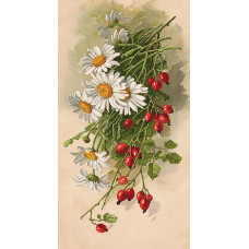 Chamomile and rose hips