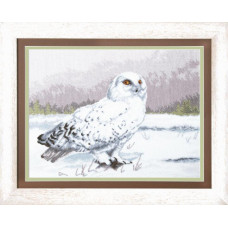 Wise Owl Hedwig
